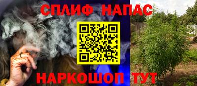 прущие грибы Шебекино