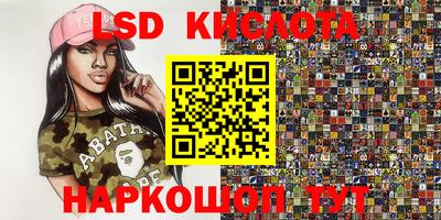 прущие грибы Шебекино