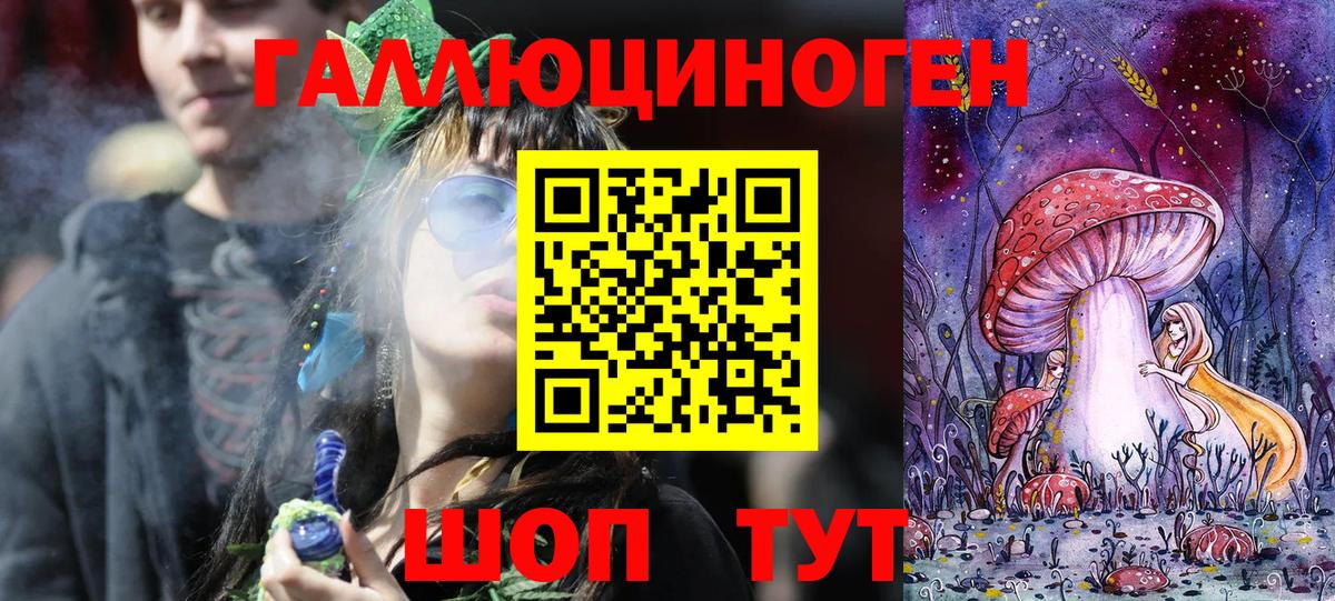 закладка  Псилоцибиновые грибы ЛСД  Вход с VPN  Новошахтинск 