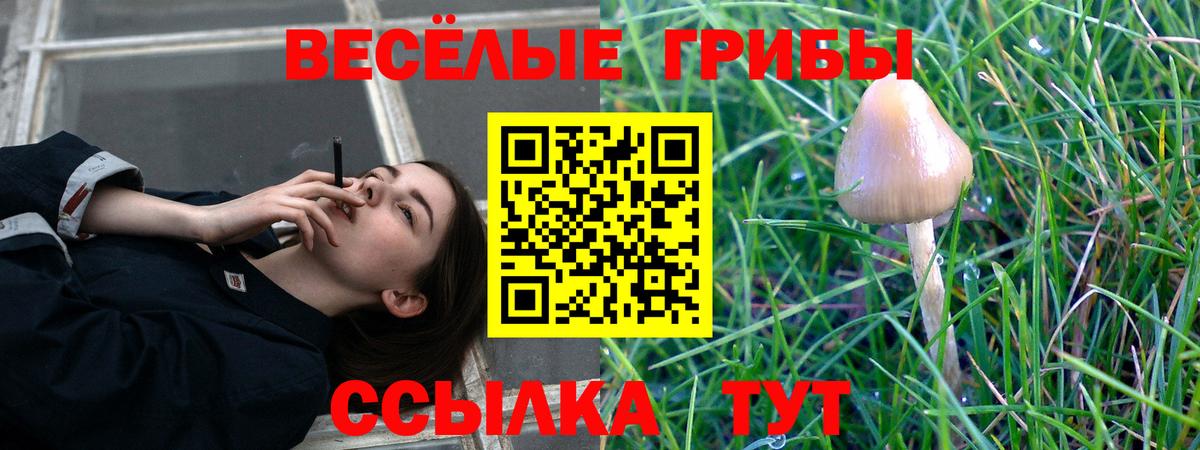 Галлюциногенные грибы прущие грибы Новошахтинск